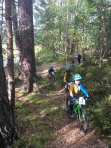 Tresidder (2)